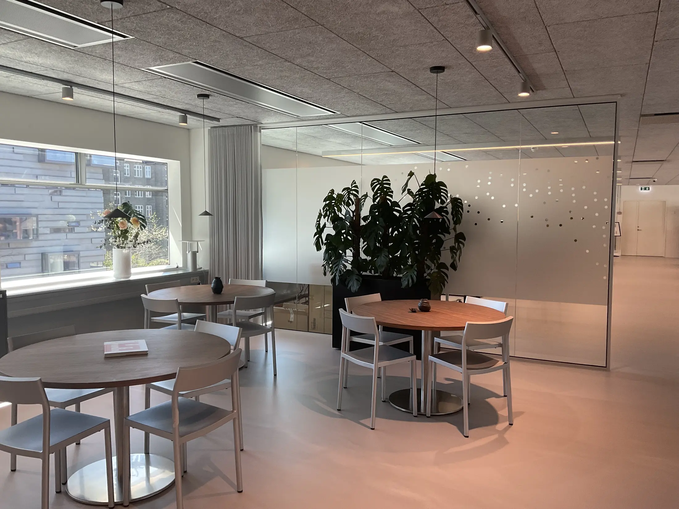 Samarbejdsområde i kontormiljø med glasparti og transparente gardiner