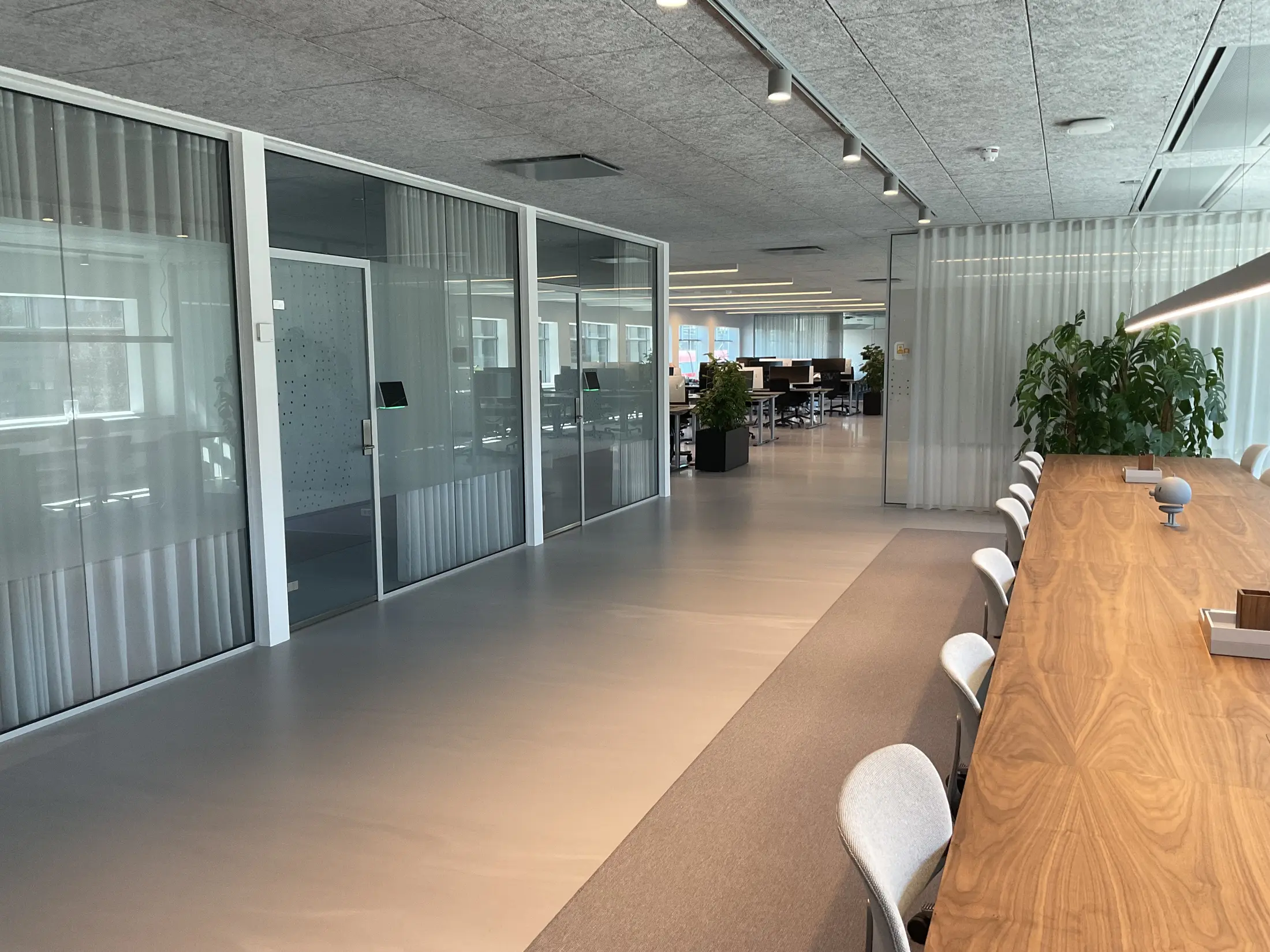 Kontormiljø med glaspartier, arbejdspladser og transparente gardiner